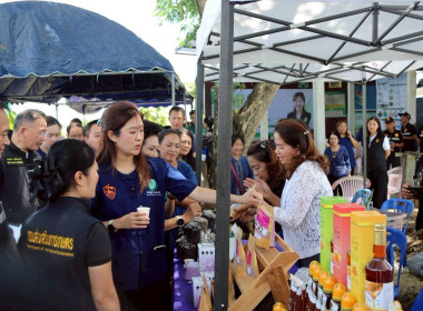 รัฐมนตรีช่วยว่าการกระทรวงเกษตรและสหกรณ์ ลงพื้นที่แม่สาย ... พารามิเตอร์รูปภาพ 14